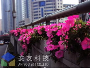 立體交響曲 高架橋綠化景觀設(shè)計的理念與實(shí)踐