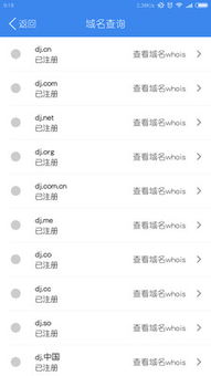 點(diǎn)擊網(wǎng)絡(luò) 解析互聯(lián)網(wǎng)域名注冊(cè)服務(wù)的價(jià)值與未來